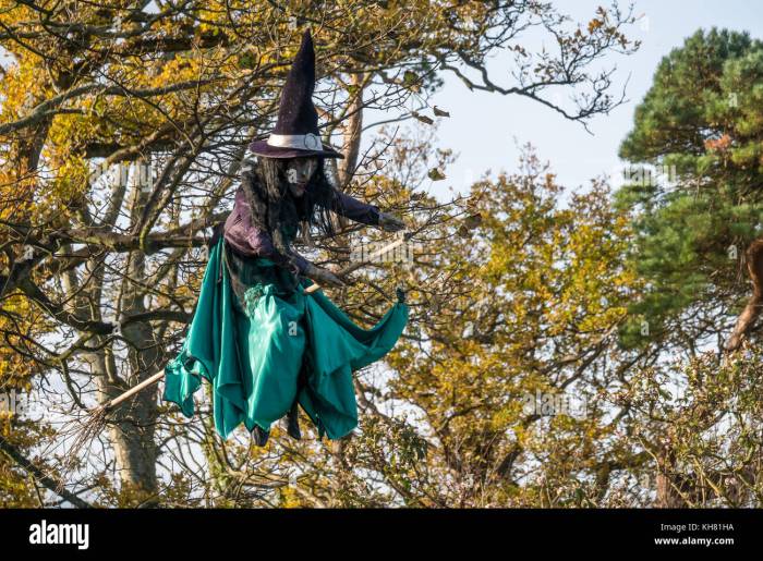 Halloween witch broom